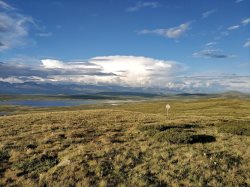 Рейдовое мероприятие прошло на отдалённом и труднодоступном участке Алтайского заповедника