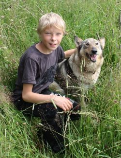 Прогулки с РикФордом или «заповедный гармонизатор пространства».