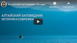 Алтайский заповедник. История и современность