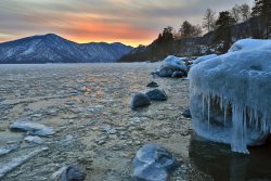 Фенологические заметки. Зимние оттепели
