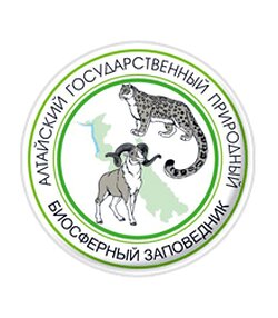 Новое на сайте