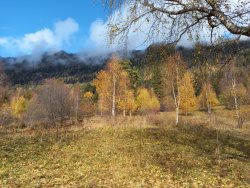 Фенологические заметки. Итоги октября