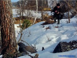 Заметки орнитолога: каким был март на яйлинской террасе и что случилось с глухарём.