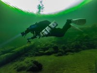 Подводный мир заповедного озера в июне