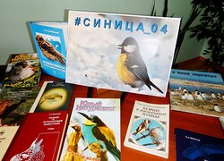 Друзья отметили «Синичкин день»