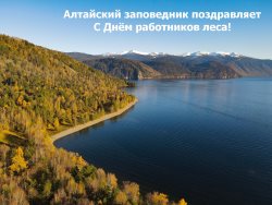 Поздравляем с Днём работников леса!