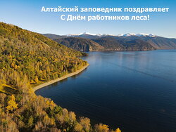 Поздравляем с Днём работников леса!