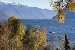 3 ноября - Международный день биосферных резерватов