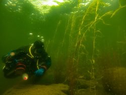 Исследования высокогорных озёр Улаганского плато