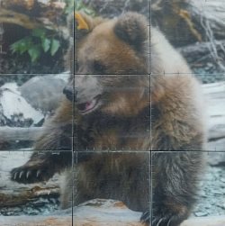 Отмечаем Всемирный день охраны окружающей среды