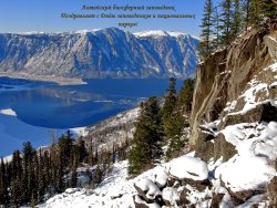 11 января в России отмечают день заповедников и национальных парков.