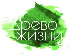 В Республике Алтай подведены итоги регионального этапа фестиваля «Древо жизни»