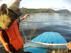 Почти полкилометра сетей обнаружено и уничтожено в ходе рейда на Телецком озере