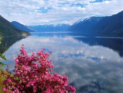 Алтайскому биосферному заповеднику – 83!