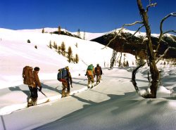 Рубрика Напарник: Деда, погоди….