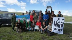 Состоялась международная экспедиция Wild Altai (Дикий Алтай)
