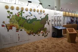 Россия представила экспозицию, посвященную отечественным заповедникам и национальным паркам на VI Всемирном конгрессе по охране природы (США, Гонолулу)