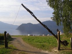 В центральной усадьбе Алтайского заповедника появился новый забор из плавника