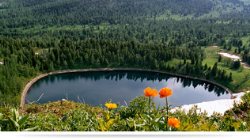 Новости наших друзей и коллег: Семинар «Перспективы развития сувенирного производства в Катон-Карагайском районе»