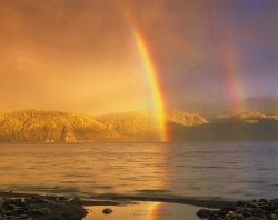 Экологи из США посетили Алтайский заповедник