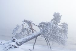Некролог-воспоминание. А.И. Чалчиков.