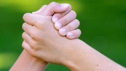 5 июня 2016 г. в Международный день окружающей среды в Москве пройдет второй Всероссийский экологический фестиваль