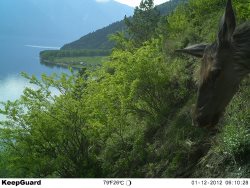 Окно в заповедную природу. Майские сюжеты.