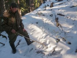 Зимняя перепись заповедных обитателей